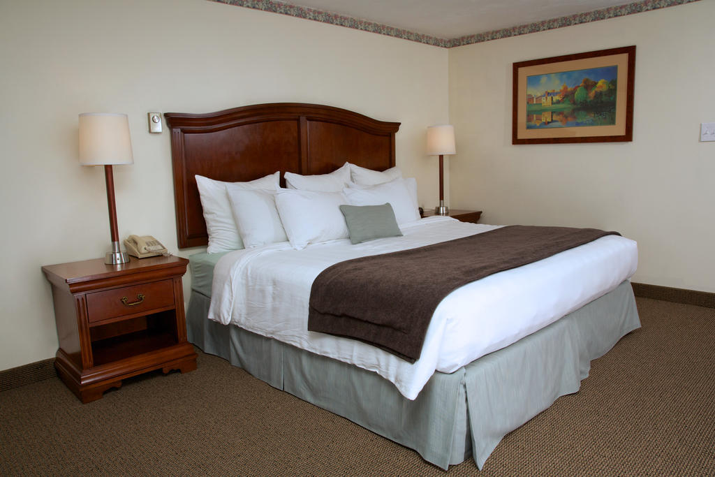 Hill & Motel 2*